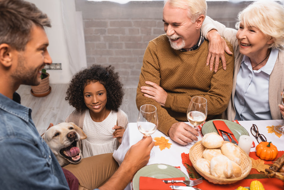 The Do's & Don'ts When Your Pet Asks For A Thanksgiving Meal | Identity ...