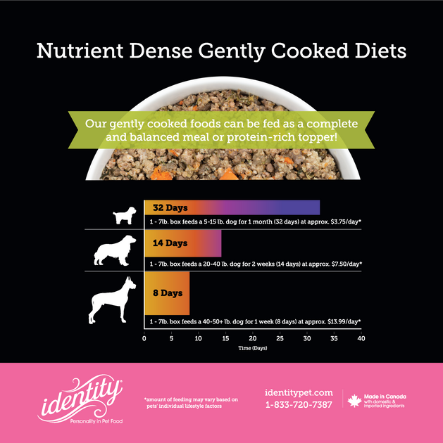 imagine 95% Gently Cooked Dog Food Variety Box | Identity Pet Nutrition